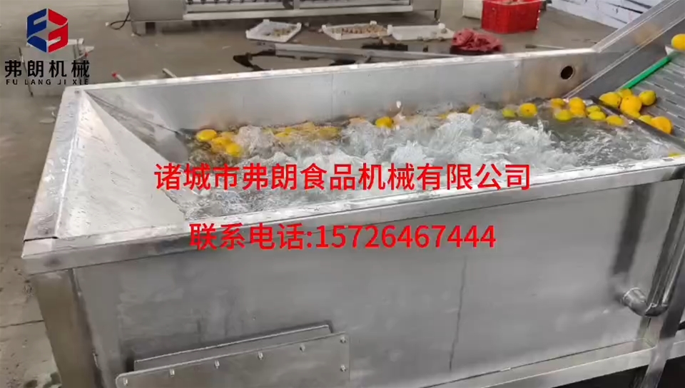 橙子清洗風(fēng)干分級流水線