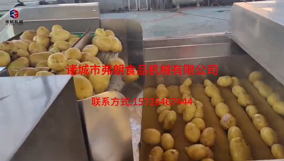 土豆清洗風(fēng)干分級流水線試機(jī)