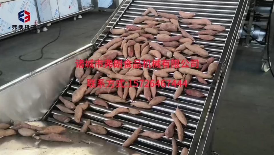紅薯分級(jí)機(jī)車(chē)間試機(jī)