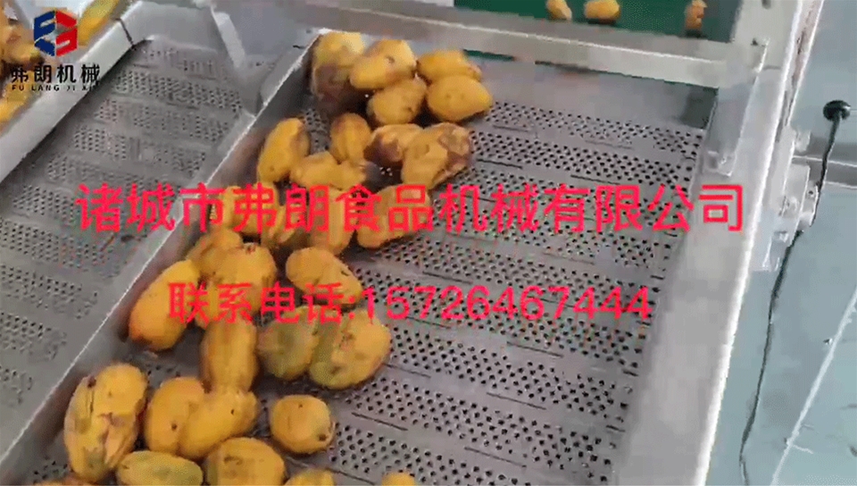 芒果大小分級(jí)實(shí)地試機(jī)